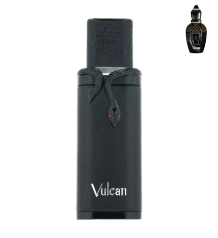 French Avenue Vulcan Black Friday 100ml (2025)