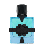 French Avenue Magnetiq Extrait De Parfum 100ml (2025)