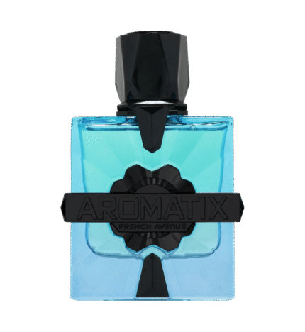 French Avenue Magnetiq Extrait De Parfum 100ml (2025)