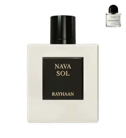 Rayhaan Nava Sol Eau De Parfum (2026) 100ML